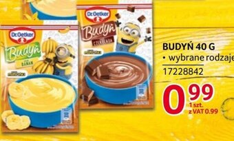 Selgros BUDYŃ 40 G oferta
