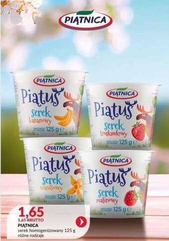 Eurocash PIĄTNICA serek homogenizowany 125 g oferta