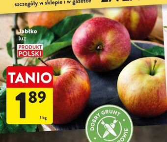 Intermarche Jabłka oferta