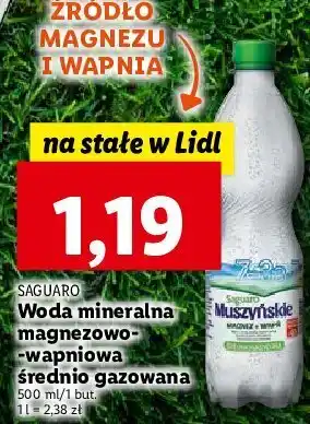 Lidl Woda średnio gazowana oferta