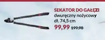 Stokrotka Sekator do gałęzi oferta