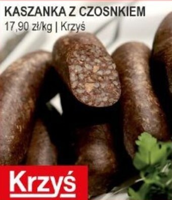 Słoneczko Kaszanka krzyś oferta