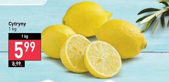 Stokrotka Cytryny 1 kg oferta