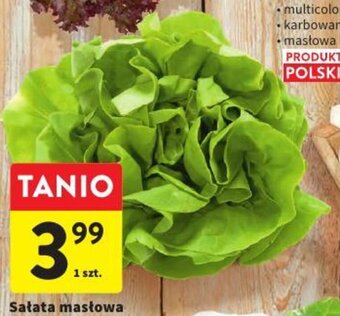 Intermarche Sałata masłowa 1szt oferta