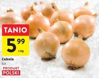 Intermarche Cebula luz 1 kg oferta