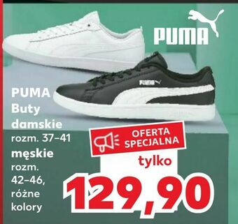 Kaufland PUMA Buty damskie męskie oferta