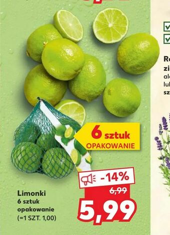 Kaufland Limonki oferta