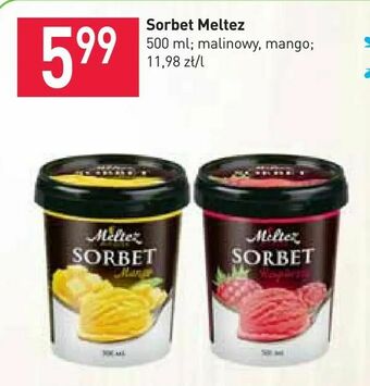 Stokrotka Sorbet Meltez oferta