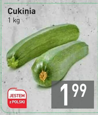Stokrotka Cukinia oferta
