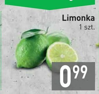 Stokrotka Limonka oferta