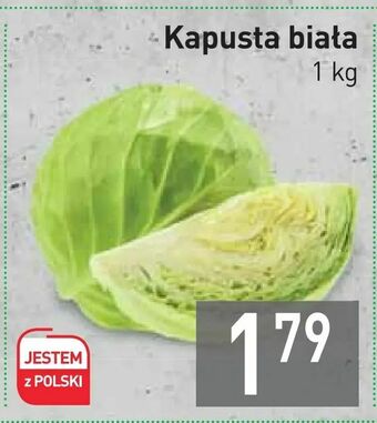 Stokrotka Kapusta biała oferta