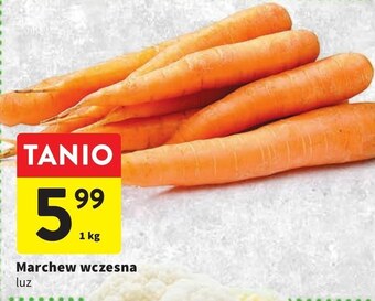 Intermarche Marchew oferta