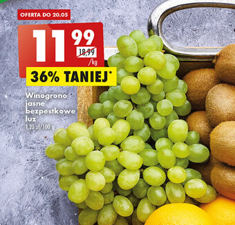 Biedronka Winogrono jasne bezpestkowe 1kg oferta