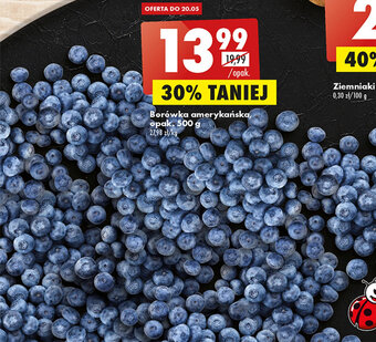 Biedronka Borówka amerykańska, opak. 500 g oferta