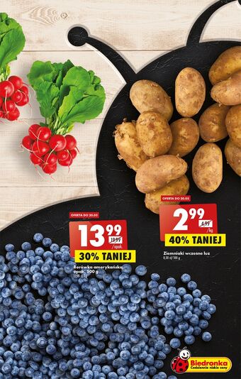 Biedronka Borówki amerykańskie oferta