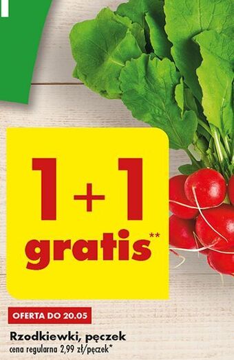 Biedronka Rzodkiewka oferta