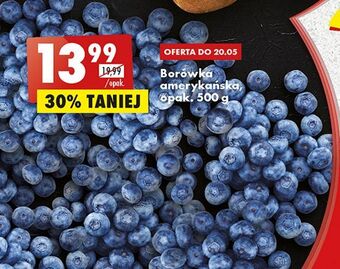 Biedronka Borówka amerykańska oferta