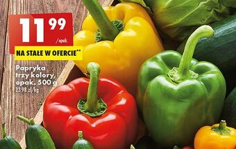 Biedronka Papryka trzy kolory oferta
