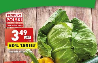 Biedronka Kapusta młoda oferta