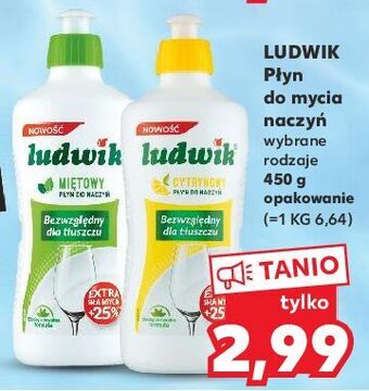 Kaufland Płyn do mycia naczyń cytrynowy ludwik oferta