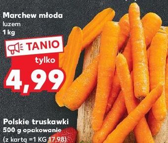 Kaufland Marchew młoda oferta