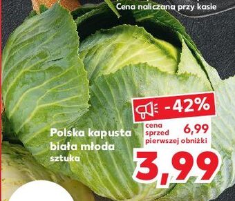 Kaufland Kapusta biała młoda oferta