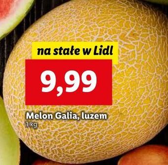 Lidl Melon galia oferta