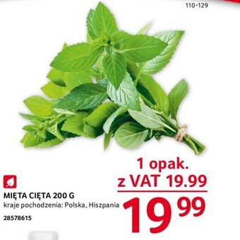 Selgros MIĘTA CIĘTA 200 G oferta