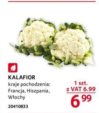 Selgros KALAFIOR oferta