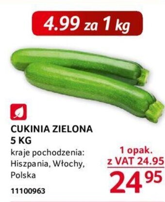 Selgros CUKINIA ZIELONA 5 KG oferta