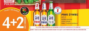 Delikatesy Centrum PIWO ŻYWIEC 0,5l oferta