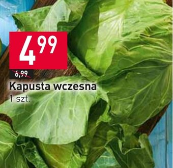 Stokrotka Market Kapusta oferta