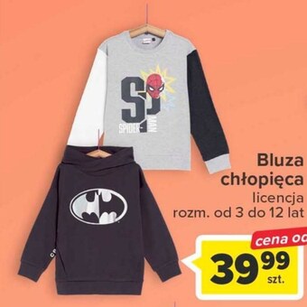 Carrefour Bluza chłopięca oferta