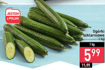 Stokrotka Ogórki oferta