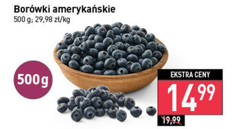 Stokrotka Borówki amerykańskie oferta