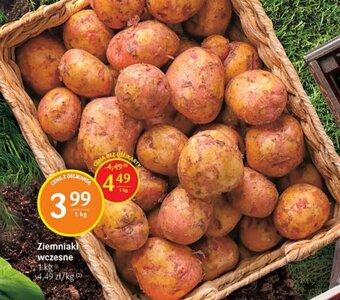 Delikatesy Centrum Ziemniaki wczesne 1kg oferta