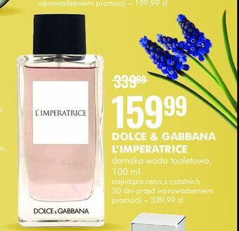 SuperPharm Woda toaletowa oferta