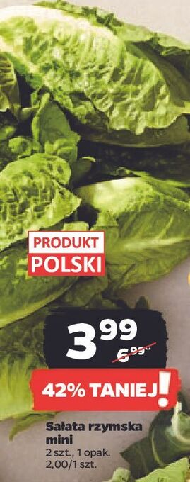 Netto Sałata rzymska mini oferta