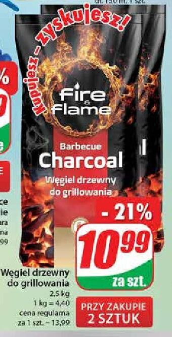 Dino Węgiel drzewny fire & flame oferta