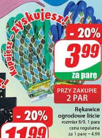 Dino Rękawice ogrodowe oferta