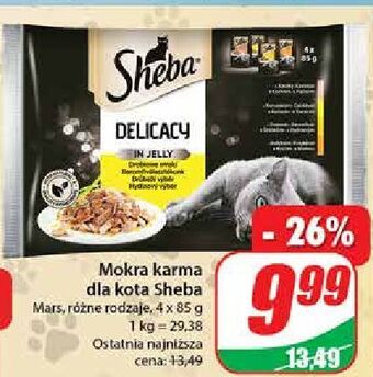 Dino Karma dla kota smaki drobiowe sheba delicacy in jelly oferta