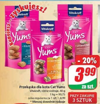 Dino Karma dla kota z pasztetem vitakraft cat yums oferta