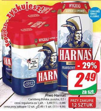 Dino Piwo harnaś jasne pełne oferta