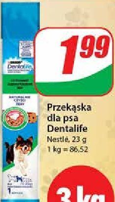 Dino Przekąska dla psa purina dentalife oferta