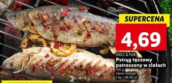 Lidl Pstrąg tęczowy patrosozny w przyprawach grill and fun oferta