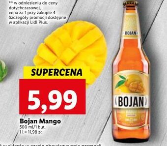 Lidl Piwo bojan mango oferta