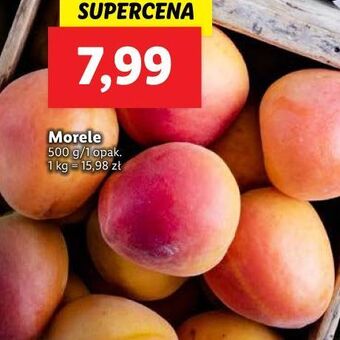 Lidl Morele oferta