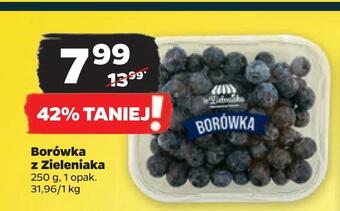 Netto Borówka z zieleniaka oferta