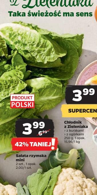 Netto Sałata rzymska mini oferta