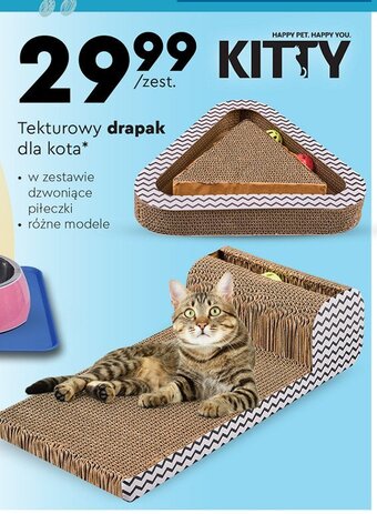 Biedronka Drapak kartonowy oferta